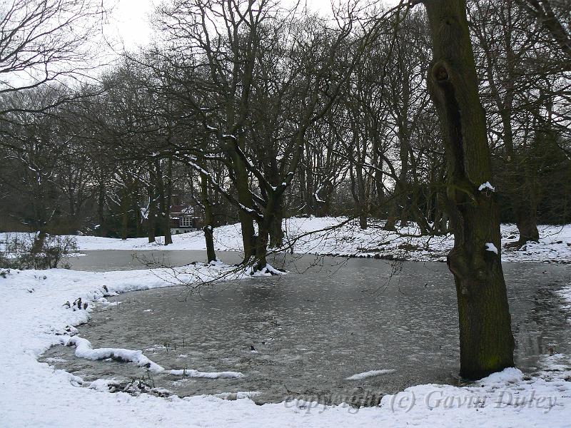 Winter, Hampstead Heath P1070621.JPG